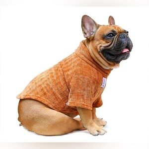NWT Large Plus Dog Sweater in Orange